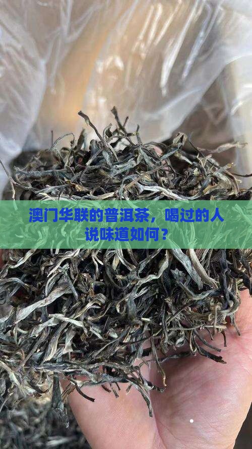 澳门华联的普洱茶，喝过的人说味道如何？