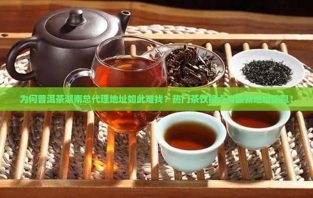 为何普洱茶湖南总代理地址如此难找？热门茶饮痛点与最新地址信息！