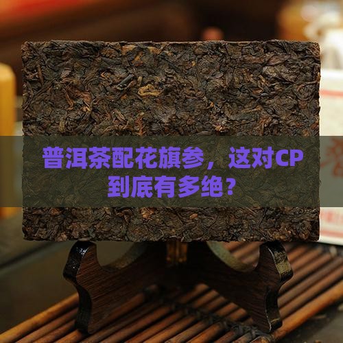 普洱茶配花旗参，这对CP到底有多绝？