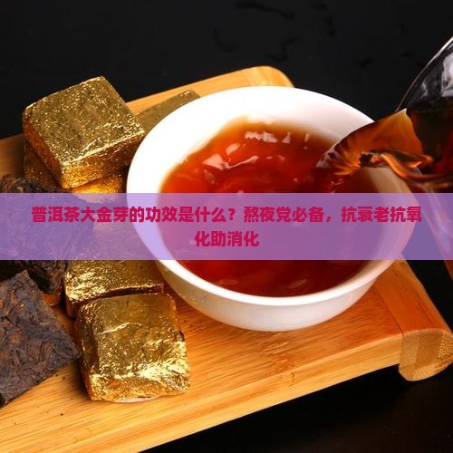 普洱茶大金芽的功效是什么？熬夜党必备，抗衰老抗氧化助消化