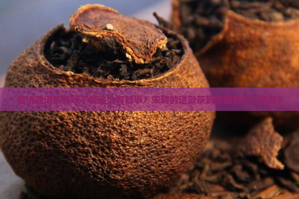 谁说普洱茶黄印不能这么有故事？宋聘的这款茶到底藏着什么秘密？