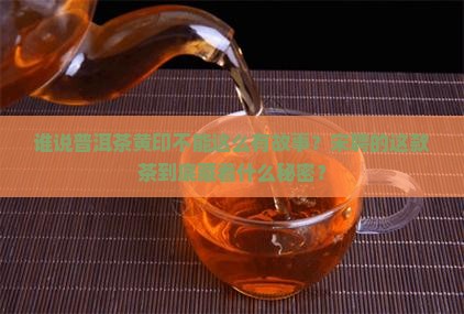 谁说普洱茶黄印不能这么有故事？宋聘的这款茶到底藏着什么秘密？