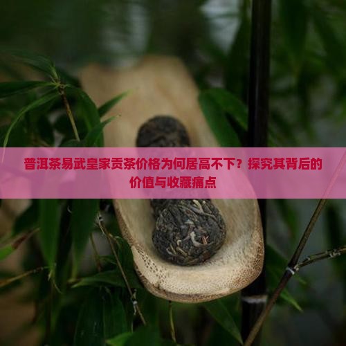 普洱茶易武皇家贡茶价格为何居高不下？探究其背后的价值与收藏痛点