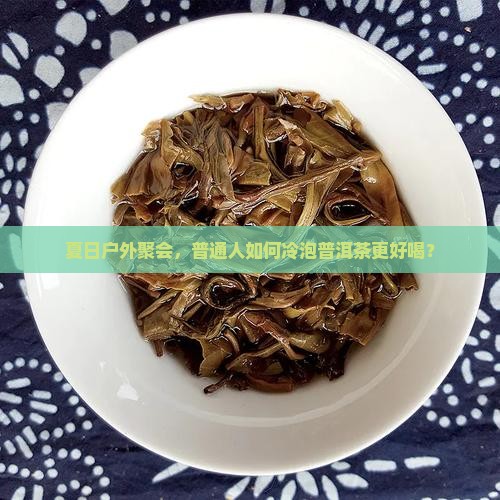 夏日户外聚会，普通人如何冷泡普洱茶更好喝？