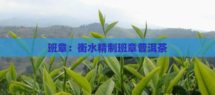 班章：衡水精制班章普洱茶