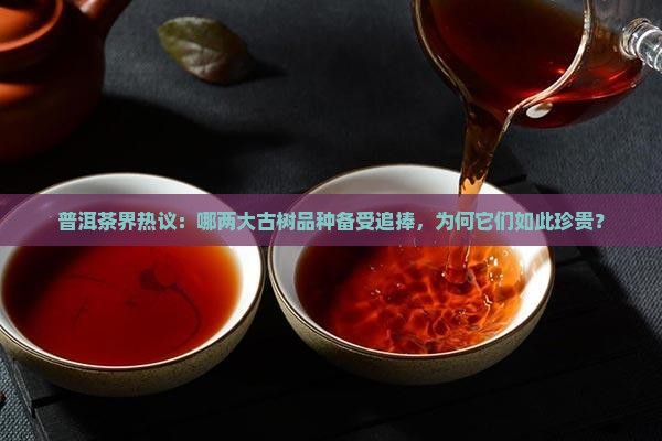 普洱茶界热议：哪两大古树品种备受追捧，为何它们如此珍贵？