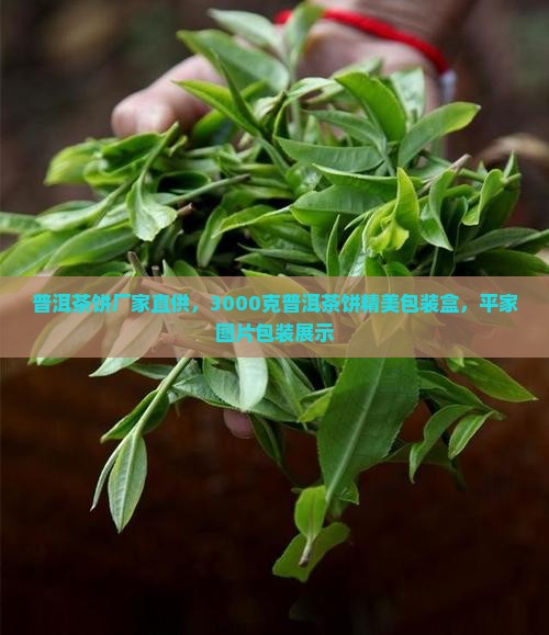 普洱茶饼厂家直供，3000克普洱茶饼精美包装盒，平家图片包装展示