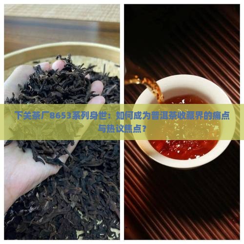 下关茶厂8653系列身世：如何成为普洱茶收藏界的痛点与热议焦点？