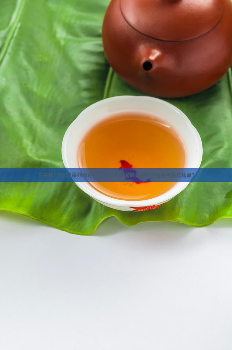 下关茶厂8653系列身世：如何成为普洱茶收藏界的痛点与热议焦点？