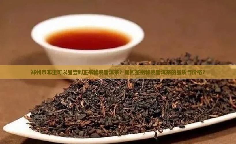 郑州市哪里可以品尝到正宗秘境普洱茶？如何鉴别秘境普洱茶的品质与价格？