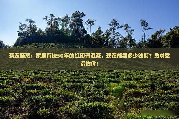 茶友疑惑：家里有块50年的红印普洱茶，现在能卖多少钱啊？急求靠谱估价！