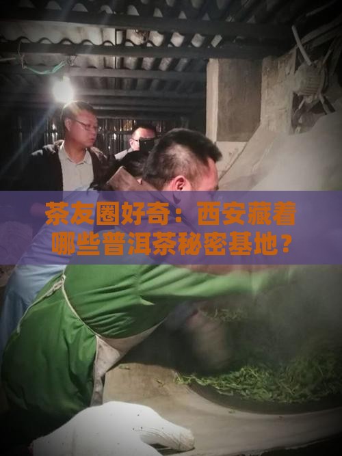 茶友圈好奇：西安藏着哪些普洱茶秘密基地？
