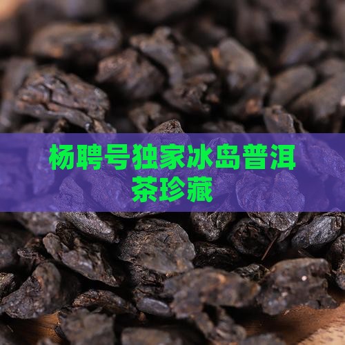 杨聘号独家冰岛普洱茶珍藏