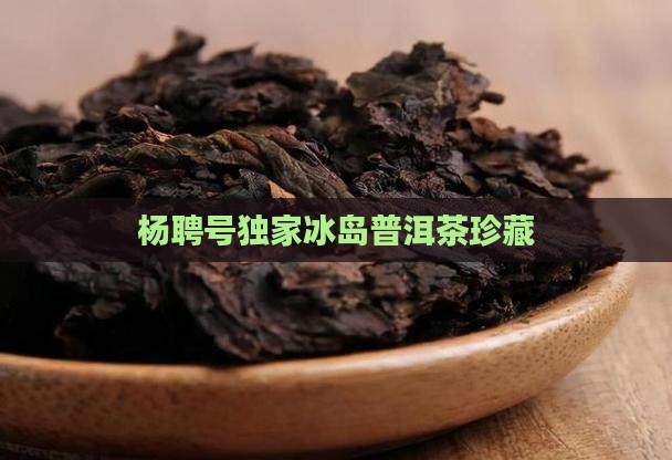 杨聘号独家冰岛普洱茶珍藏