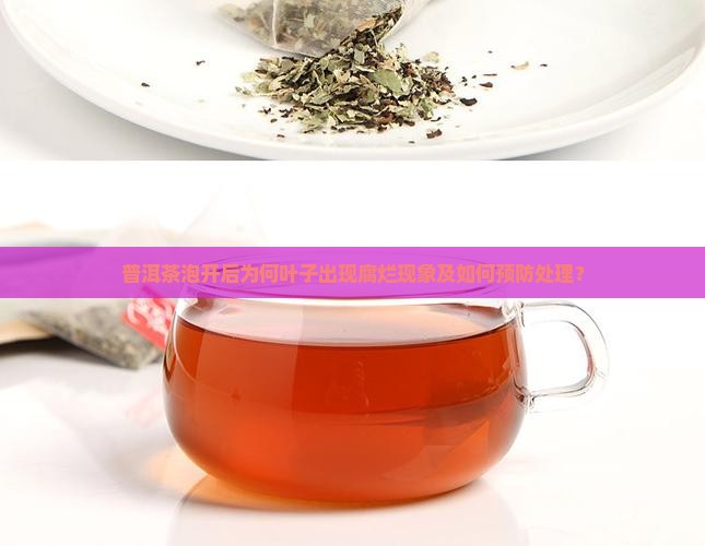 普洱茶泡开后为何叶子出现腐烂现象及如何预防处理？