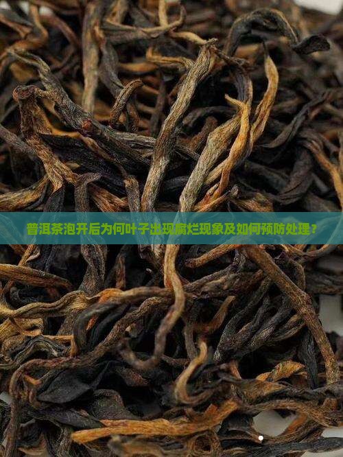 普洱茶泡开后为何叶子出现腐烂现象及如何预防处理？