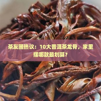 茶友圈热议：10大普洱茶龙骨，家里摆哪款最划算？