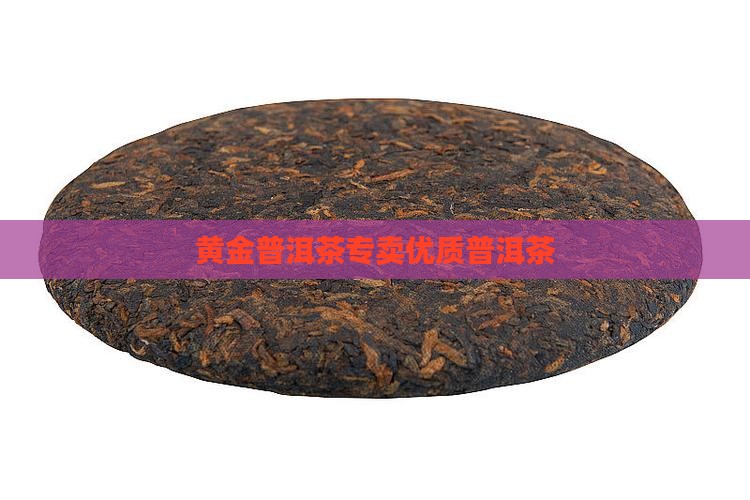 黄金普洱茶专卖优质普洱茶
