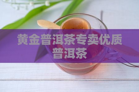 黄金普洱茶专卖优质普洱茶