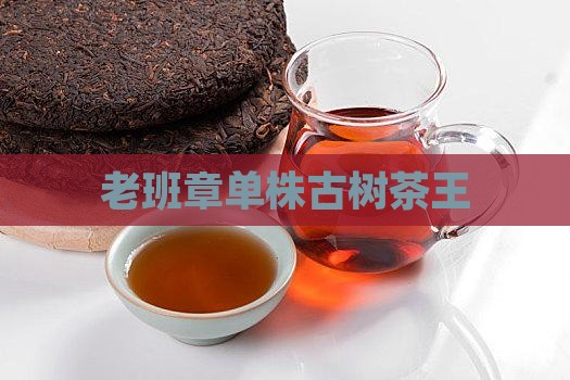 老班章单株古树茶王