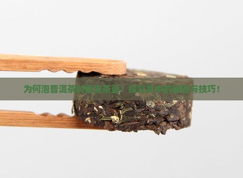 为何泡普洱茶时要浇茶壶？探究其中的秘密与技巧！
