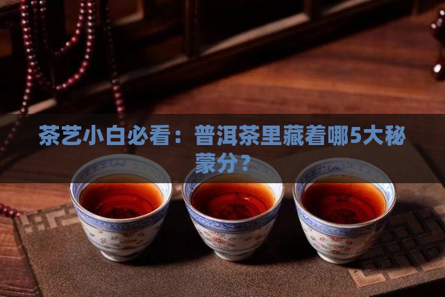 茶艺小白必看：普洱茶里藏着哪5大秘蒙分？