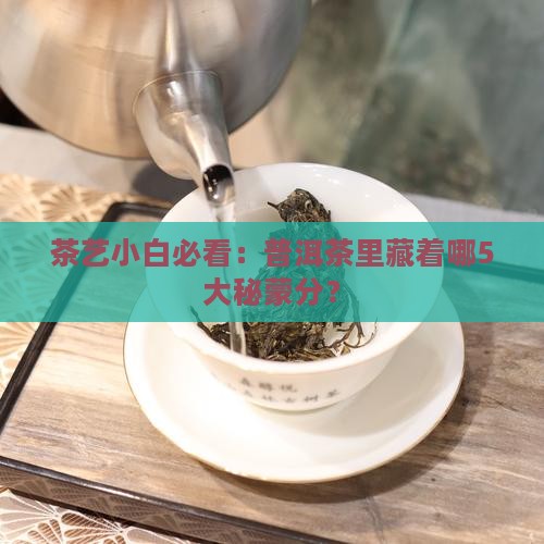 茶艺小白必看：普洱茶里藏着哪5大秘蒙分？