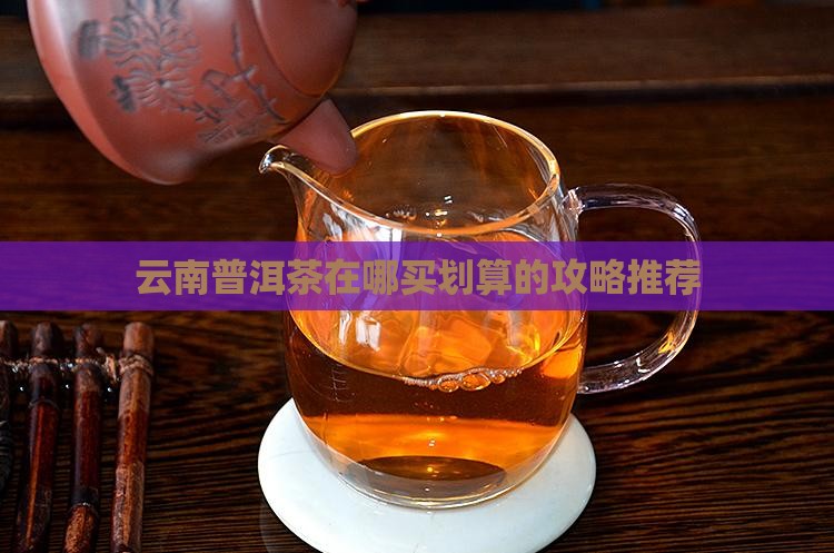 云南普洱茶在哪买划算的攻略推荐
