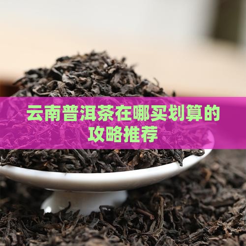 云南普洱茶在哪买划算的攻略推荐