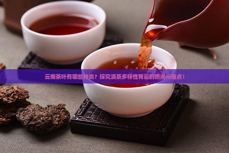 云南茶叶有哪些种类？探究滇茶多样性背后的热点与痛点！