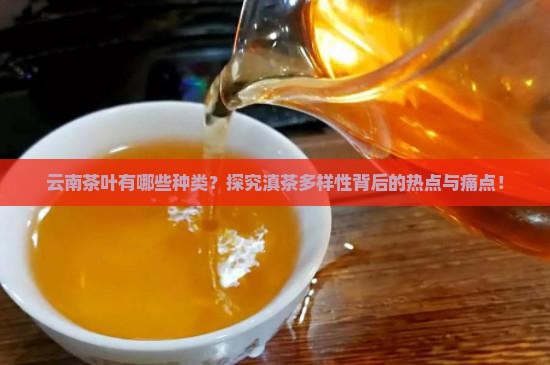 云南茶叶有哪些种类？探究滇茶多样性背后的热点与痛点！
