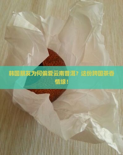 韩国朋友为何偏爱云南普洱？这份跨国茶香情缘！