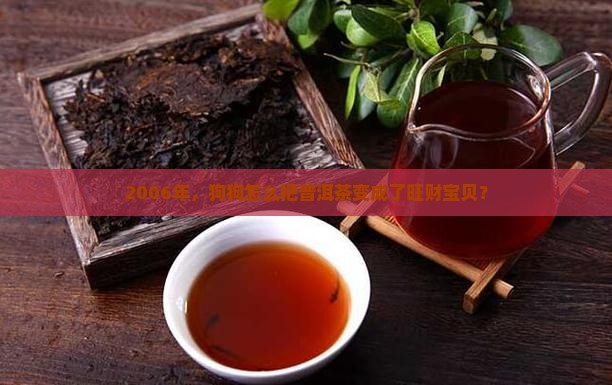 2006年，狗狗怎么把普洱茶变成了旺财宝贝？