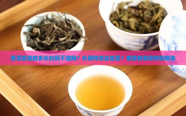 普洱茶能放多长时间不能喝？长期存放会变质？老茶客教你辨别新陈