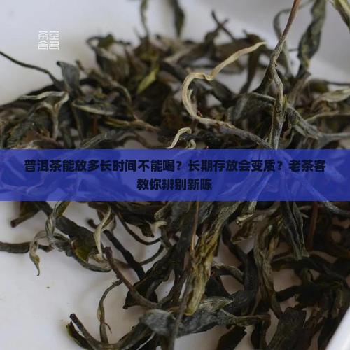 普洱茶能放多长时间不能喝？长期存放会变质？老茶客教你辨别新陈
