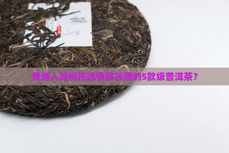 普通人如何挑选值得珍藏的5款级普洱茶？