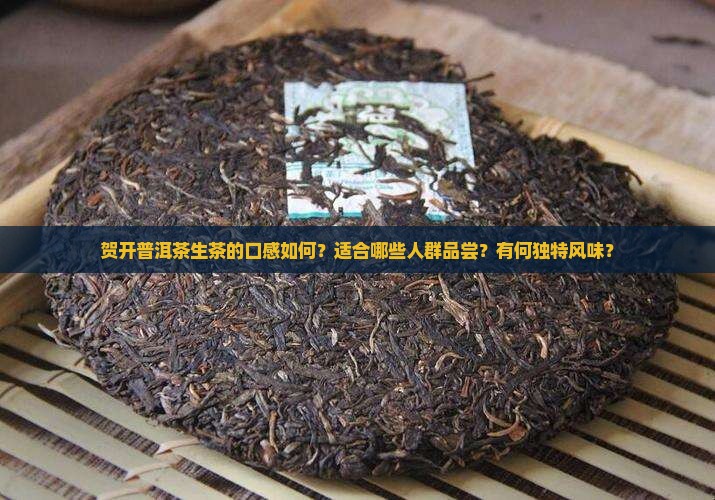贺开普洱茶生茶的口感如何？适合哪些人群品尝？有何独特风味？