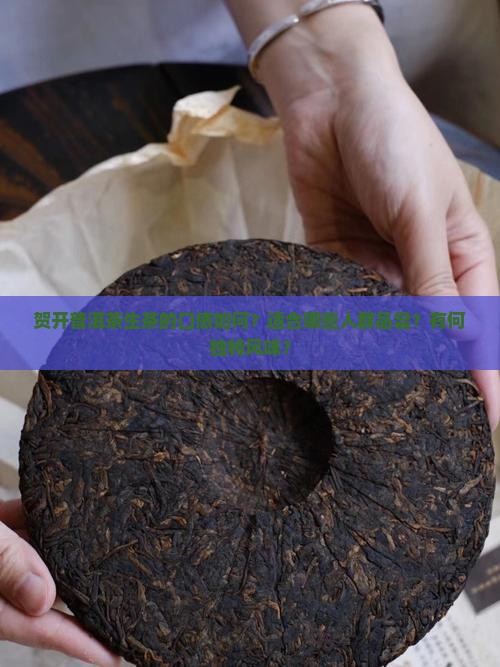 贺开普洱茶生茶的口感如何？适合哪些人群品尝？有何独特风味？