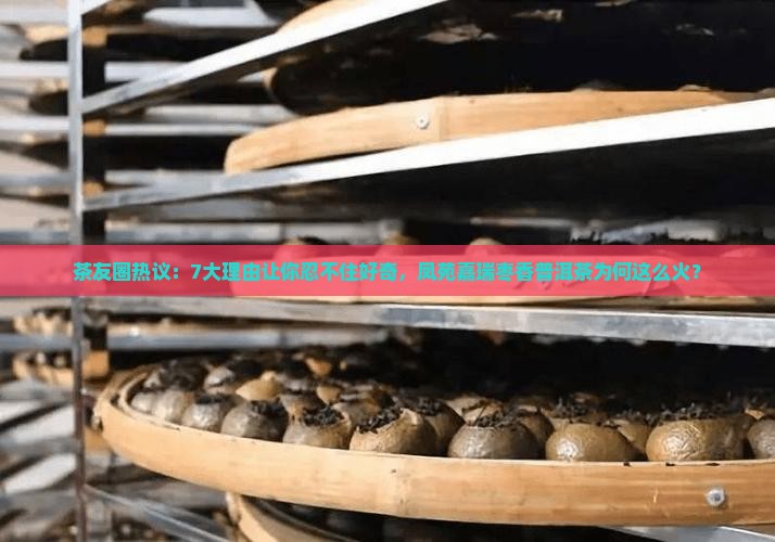 茶友圈热议：7大理由让你忍不住好奇，凤苑嘉瑞枣香普洱茶为何这么火？