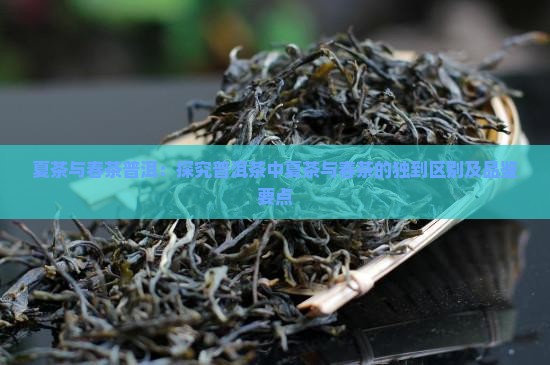 夏茶与春茶普洱:探究普洱茶中夏茶与春茶的独到区别及品鉴要点 夏茶与春茶普洱:探究普洱茶中夏茶与春茶的独到区别及品鉴要点