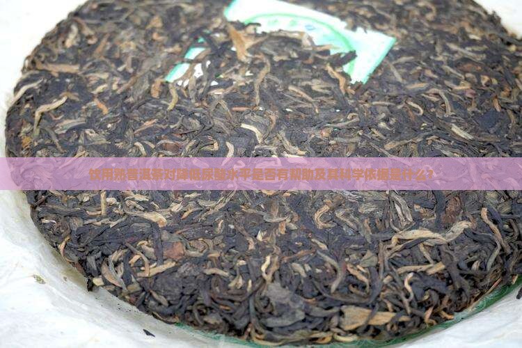 饮用熟普洱茶对降低尿酸水平是否有帮助及其科学依据是什么？