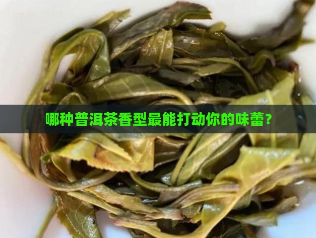 哪种普洱茶香型最能打动你的味蕾？