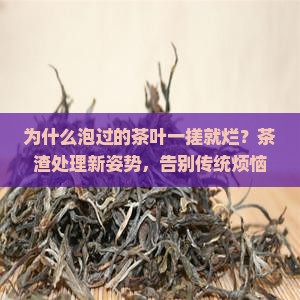 为什么泡过的茶叶一搓就烂？茶渣处理新姿势，告别传统烦恼