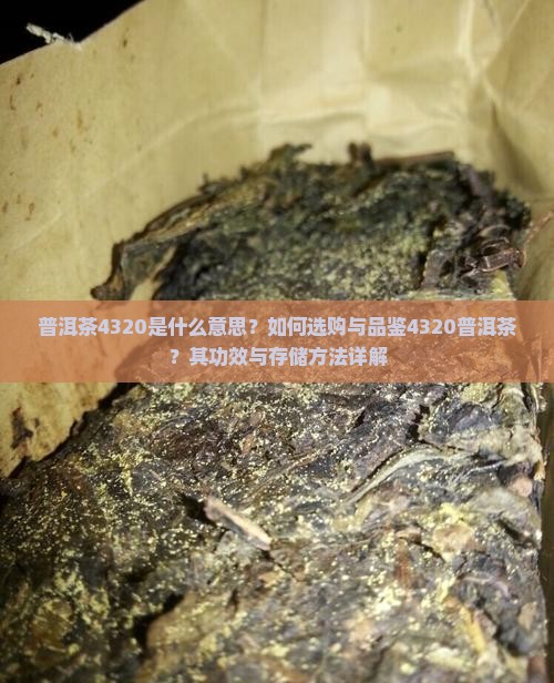 普洱茶4320是什么意思？如何选购与品鉴4320普洱茶？其功效与存储方法详解