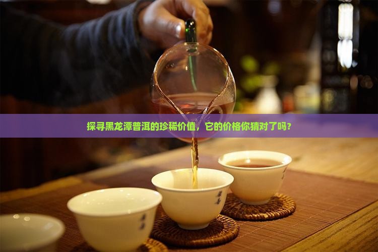 探寻黑龙潭普洱的珍稀价值，它的价格你猜对了吗？