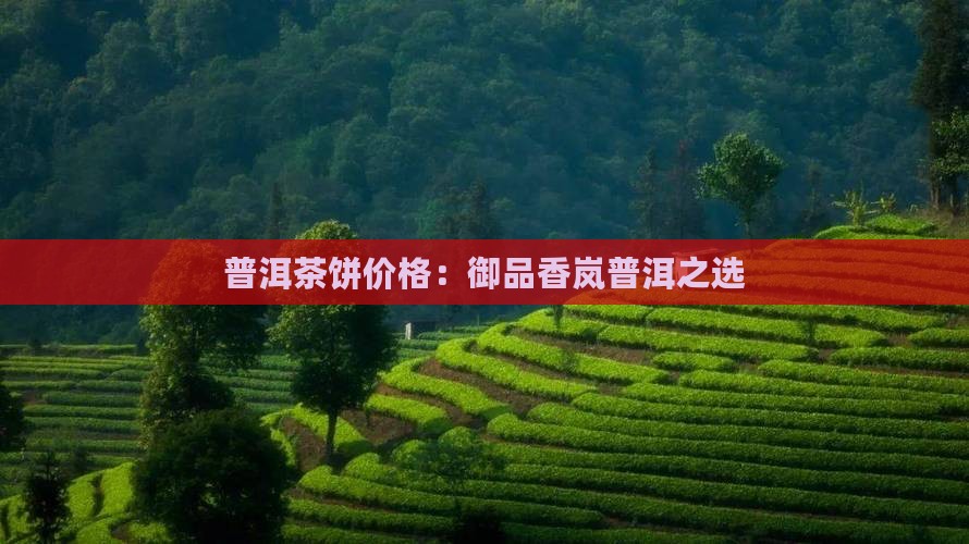 普洱茶饼价格：御品香岚普洱之选