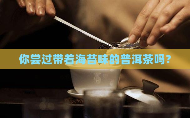 你尝过带着海苔味的普洱茶吗？