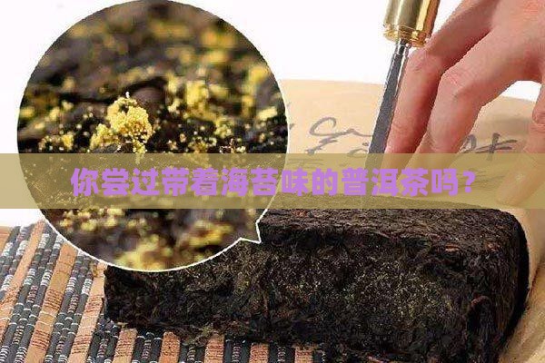 你尝过带着海苔味的普洱茶吗？