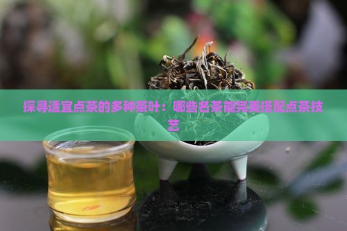 探寻适宜点茶的多种茶叶：哪些名茶能完美搭配点茶技艺