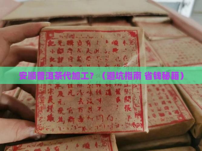 安顺普洱茶代加工